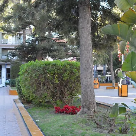 Center- Calle San Pascual Torrevieja